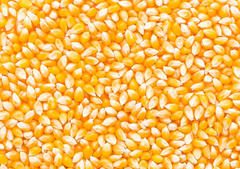 Maiz cotufa cabritas palomitas 500 gr